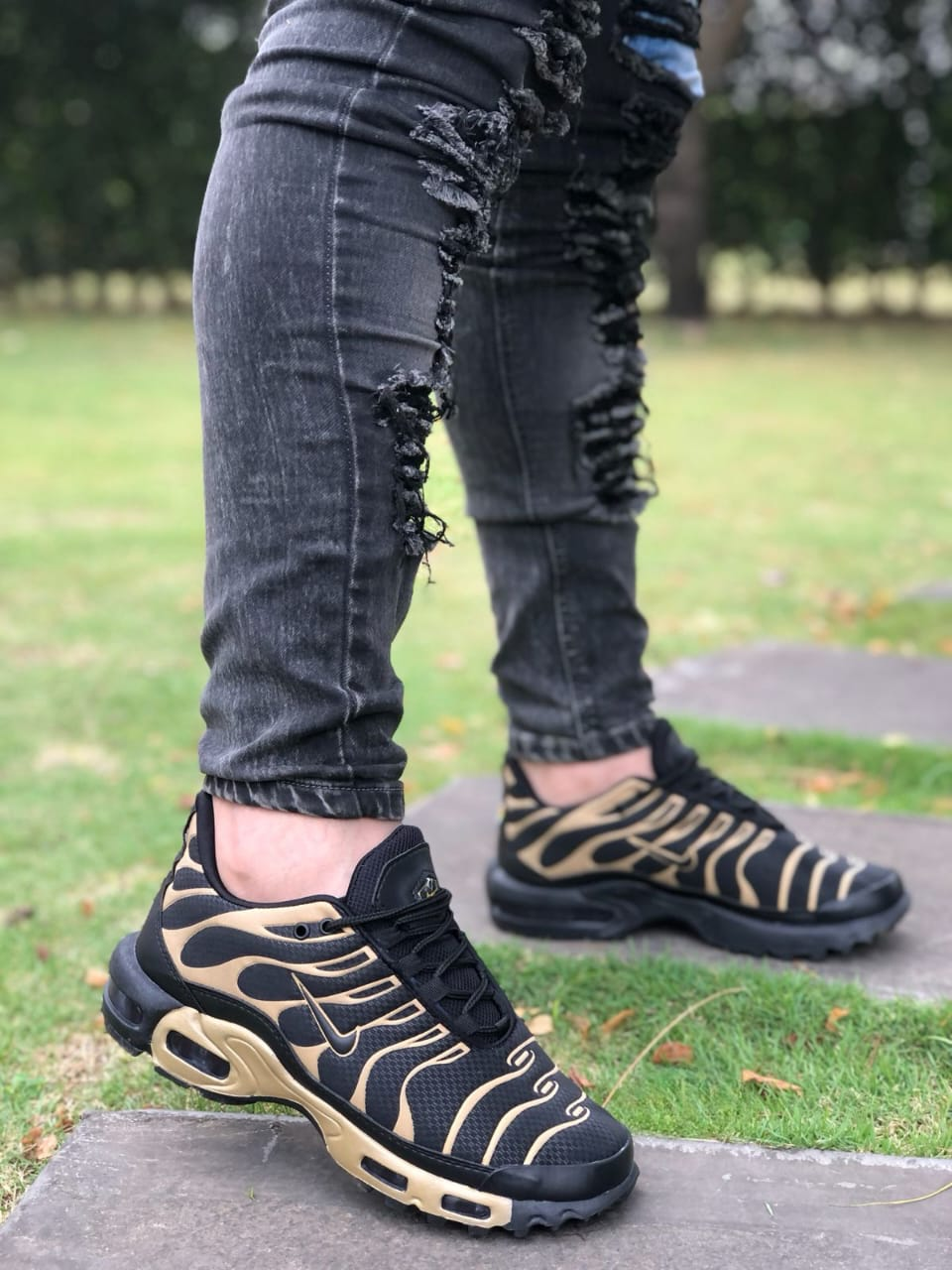 CALZADO NIKE TN AIR