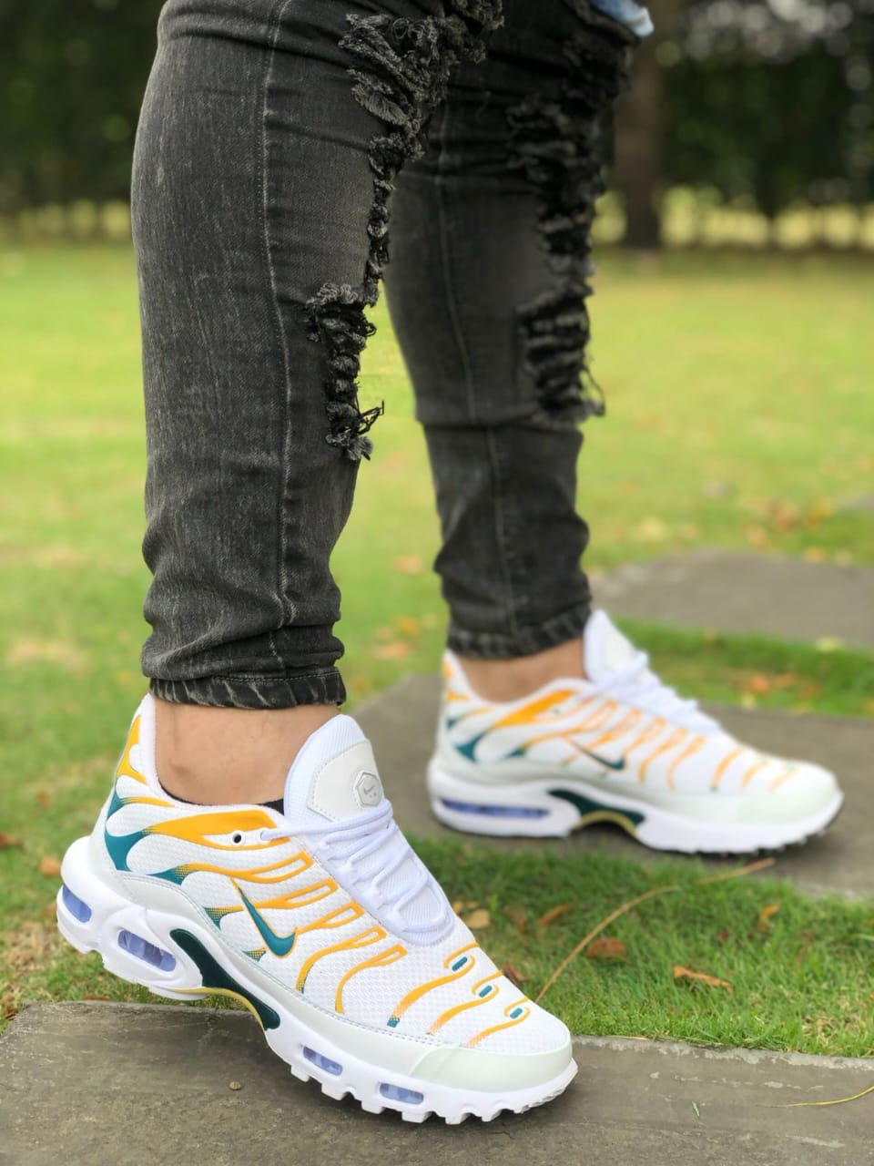 CALZADO NIKE TN AIR
